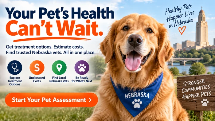Banner de PetCare Nebraska sobre opciones de tratamiento, costos y atención veterinaria, imagen 7